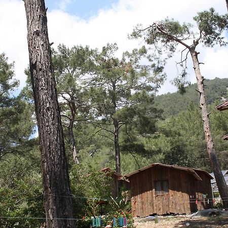 Saban Tree Houses Kumluca Exterior photo